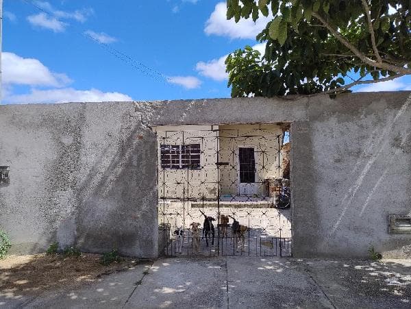 Oportunidade Única em CAMPINA GRANDE - PB foto 2