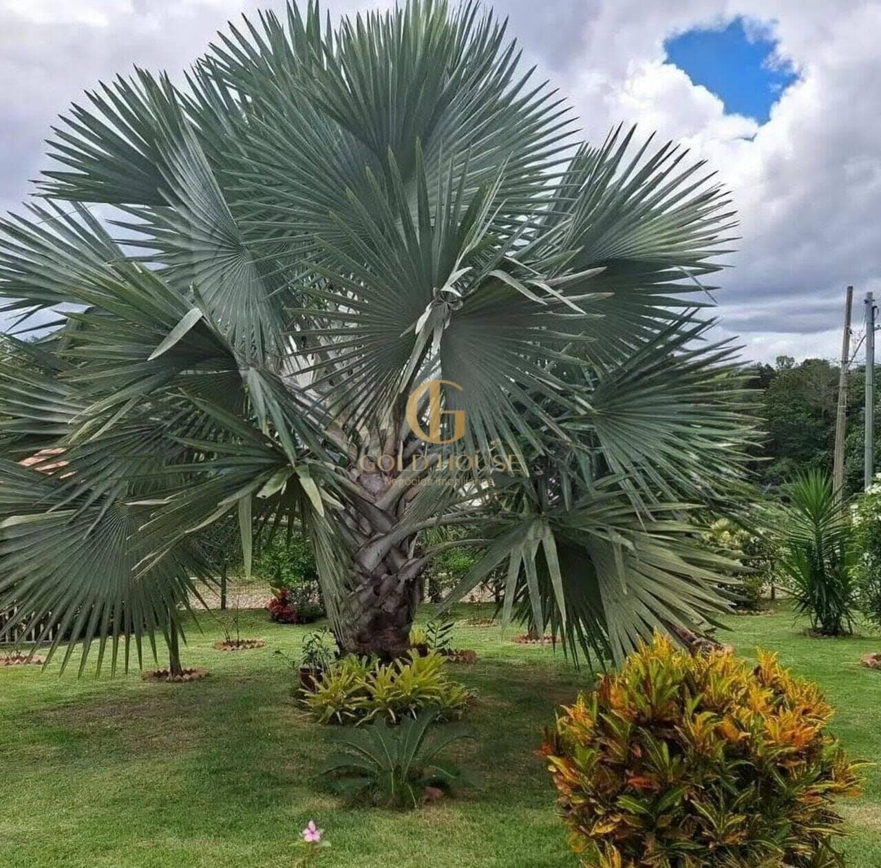 Casa de 300 m² Condomínio Vale Do Luar - Jaboticatubas, à venda por R$ 1.000.000 foto 7