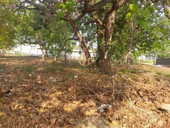 Terreno de 1.040 m² Condomínio Veredas da Lagoa - Lagoa Santa, à venda por R$ 649.000 foto 2
