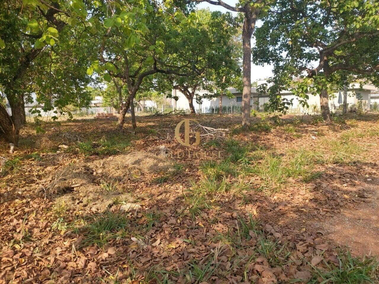 Terreno de 1.040 m² Condomínio Veredas da Lagoa - Lagoa Santa, à venda por R$ 649.000 foto 6