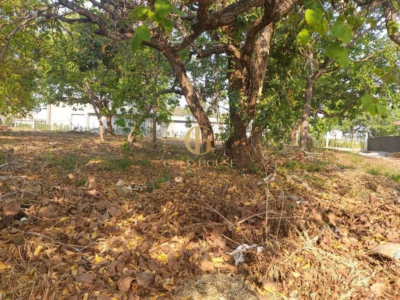 Terreno de 1.040 m² Condomínio Veredas da Lagoa - Lagoa Santa, à venda por R$ 649.000 foto 7