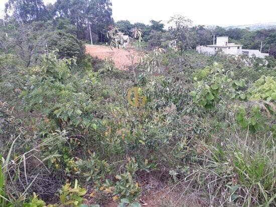 Terreno de 1.000 m² Shalimar - Lagoa Santa, à venda por R$ 250.000 foto 4