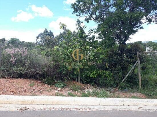Terreno de 1.000 m² Shalimar - Lagoa Santa, à venda por R$ 250.000 foto 5