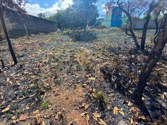Terreno de 402 m² Joá - Lagoa Santa, à venda por R$ 350.000 foto 3