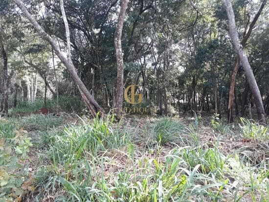 Terreno de 1.000 m² Lagoa Mansões - Lagoa Santa, à venda por R$ 363.000 foto 5