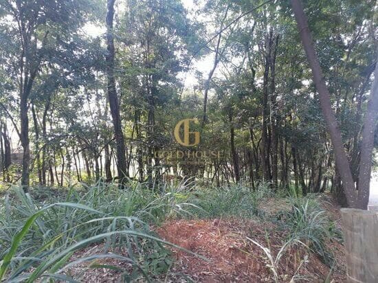 Terreno de 2.500 m² Condomínio Condados da Lagoa - Lagoa Santa, à venda por R$ 1.280.000 foto 1