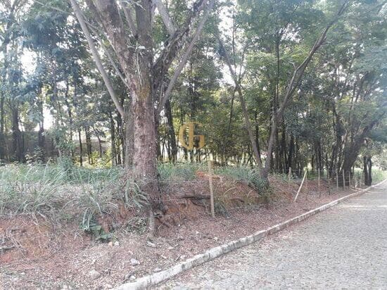 Terreno de 2.500 m² Condomínio Condados da Lagoa - Lagoa Santa, à venda por R$ 1.280.000 foto 3