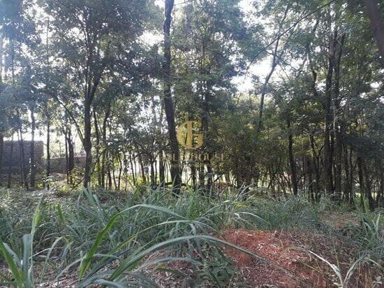 Terreno de 2.500 m² Condomínio Condados da Lagoa - Lagoa Santa, à venda por R$ 1.280.000 foto 4