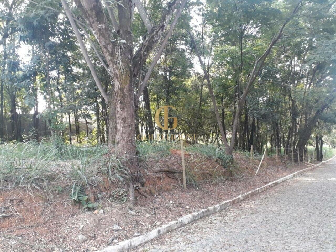 Terreno de 2.500 m² Condomínio Condados da Lagoa - Lagoa Santa, à venda por R$ 1.280.000 foto 8