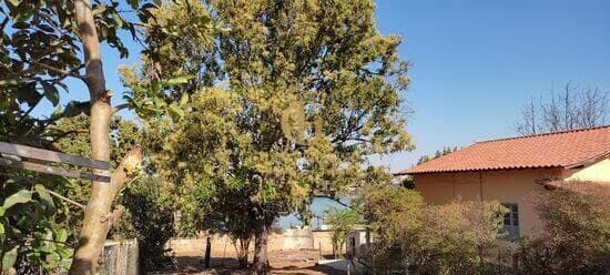 Terreno de 572 m² Joana Darc - Lagoa Santa, à venda por R$ 450.000 foto 5