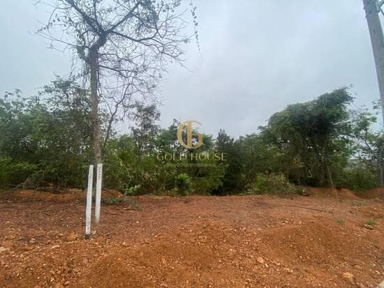 Terreno de 525 m² Parque das Borboletas - Lagoa Santa, à venda por R$ 279.900 foto 1