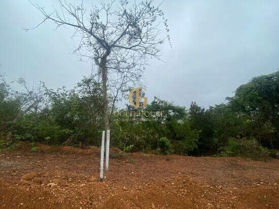 Terreno de 525 m² Parque das Borboletas - Lagoa Santa, à venda por R$ 279.900 foto 4