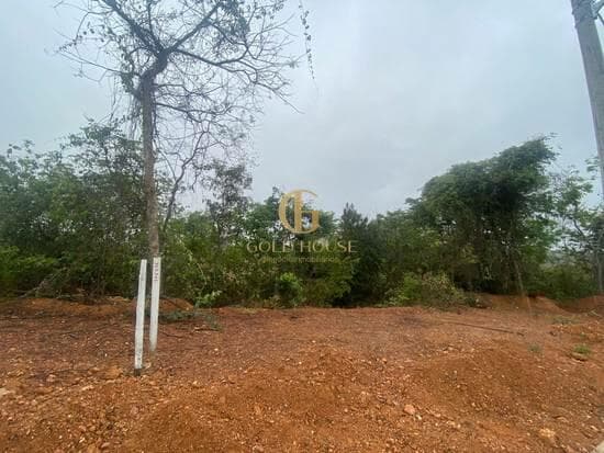 Terreno de 525 m² Parque das Borboletas - Lagoa Santa, à venda por R$ 279.900 foto 1