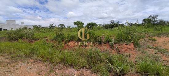 Terreno de 1.300 m² Condomínio Real Garden - Lagoa Santa, à venda por R$ 295.000 foto 3