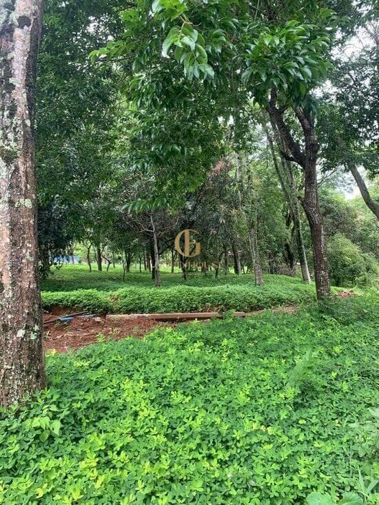 Terreno de 1.600 m² Condomínio Condados da Lagoa - Lagoa Santa, à venda por R$ 928.000 foto 4