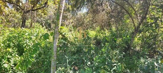 Terreno de 1.800 m² Recanto da Lagoa - Lagoa Santa, à venda por R$ 300.000 foto 3