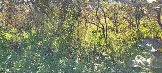Terreno de 1.800 m² Recanto da Lagoa - Lagoa Santa, à venda por R$ 300.000 foto 4