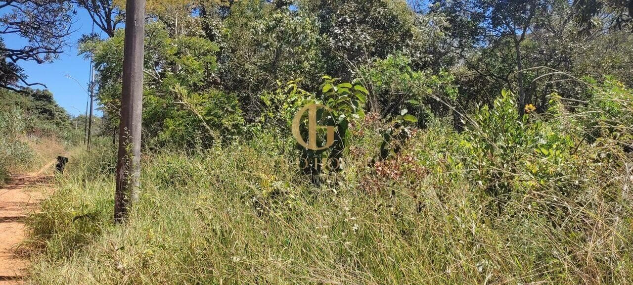 Terreno de 1.800 m² Recanto da Lagoa - Lagoa Santa, à venda por R$ 300.000 foto 5