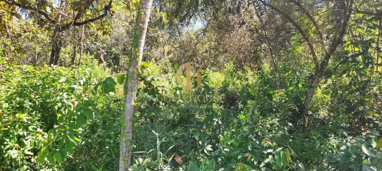 Terreno de 1.800 m² Recanto da Lagoa - Lagoa Santa, à venda por R$ 300.000 foto 7