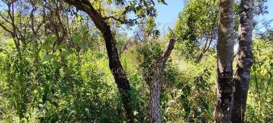 Terreno de 1.600 m² Recanto da Lagoa - Lagoa Santa, à venda por R$ 300.000 foto 3