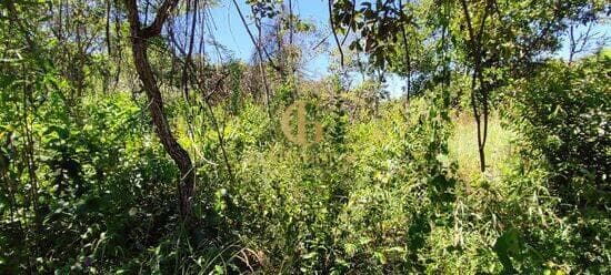 Terreno de 1.600 m² Recanto da Lagoa - Lagoa Santa, à venda por R$ 300.000 foto 4