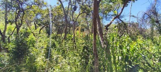 Terreno de 1.600 m² Recanto da Lagoa - Lagoa Santa, à venda por R$ 300.000 foto 5