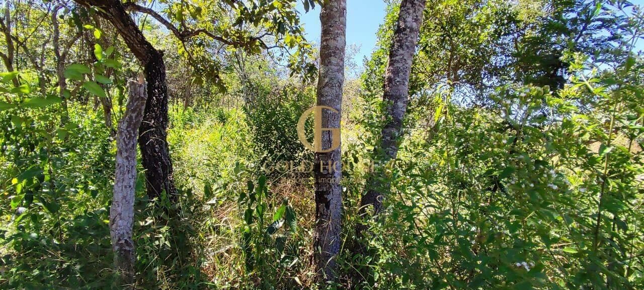 Terreno de 1.600 m² Recanto da Lagoa - Lagoa Santa, à venda por R$ 300.000 foto 7