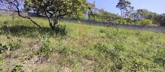 Terreno de 1.011 m² Condomínio Terra Vista - Lagoa Santa, à venda por R$ 325.000 foto 3
