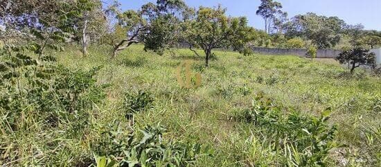 Terreno de 1.131 m² Condomínio Terra Vista - Lagoa Santa, à venda por R$ 325.000 foto 3