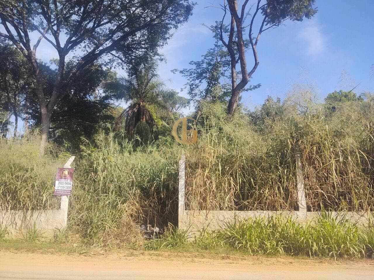Terreno de 5.630 m² Lapinha - Lagoa Santa, à venda por R$ 2.500.000 foto 6