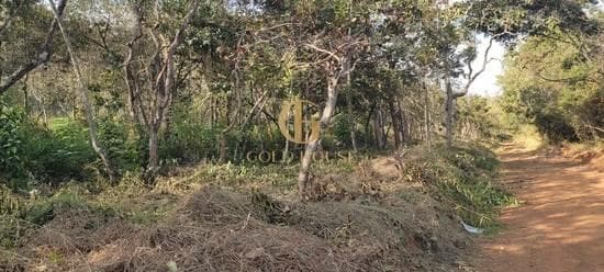 Terreno de 1.600 m² Recanto da Lagoa - Lagoa Santa, à venda por R$ 300.000 foto 1