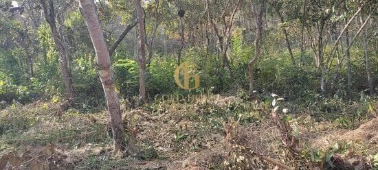 Terreno de 1.600 m² Recanto da Lagoa - Lagoa Santa, à venda por R$ 300.000 foto 3