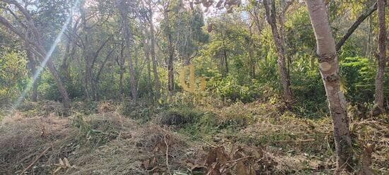Terreno de 1.600 m² Recanto da Lagoa - Lagoa Santa, à venda por R$ 300.000 foto 4
