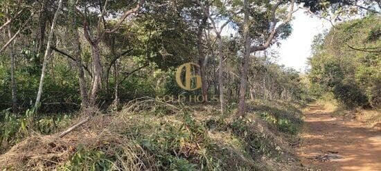 Terreno de 1.600 m² Recanto da Lagoa - Lagoa Santa, à venda por R$ 300.000 foto 5