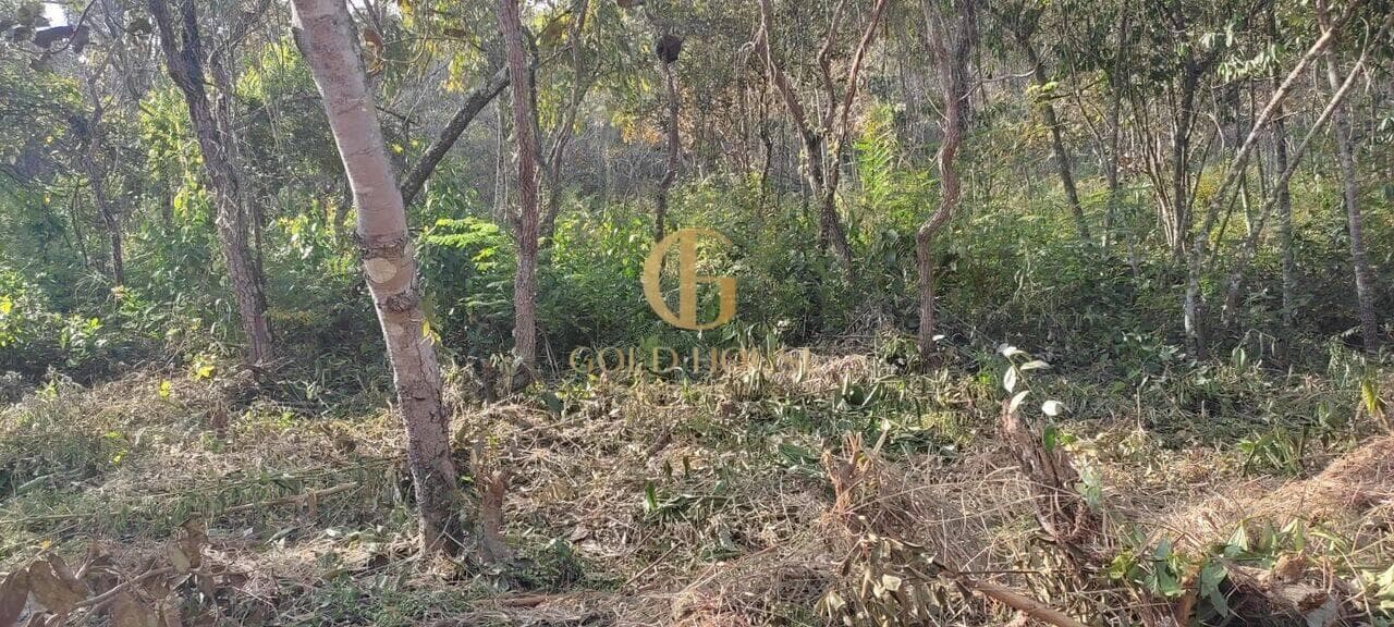Terreno de 1.600 m² Recanto da Lagoa - Lagoa Santa, à venda por R$ 300.000 foto 8