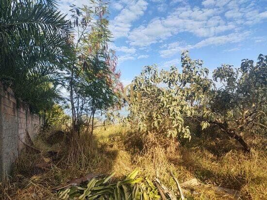 Terreno de 1.000 m² Lagoinha de Fora - Lagoa Santa, à venda por R$ 295.000 foto 2