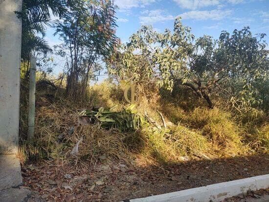 Terreno de 1.000 m² Lagoinha de Fora - Lagoa Santa, à venda por R$ 295.000 foto 3