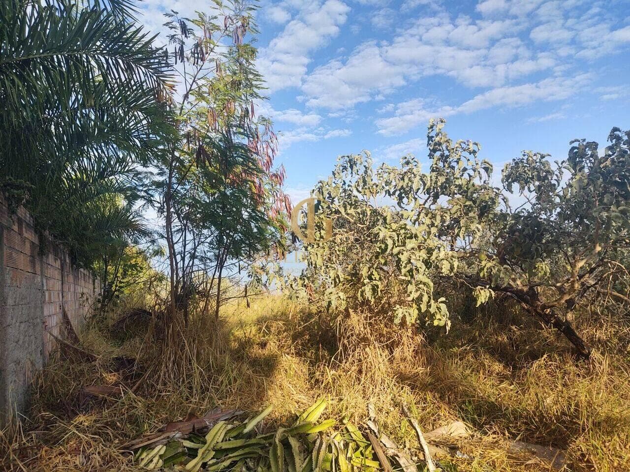 Terreno de 1.000 m² Lagoinha de Fora - Lagoa Santa, à venda por R$ 295.000 foto 6