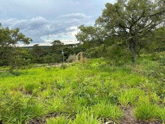 Terreno de 2.000 m² Condomínio Vila Arcádia - Lagoa Santa, à venda por R$ 1.522.000 foto 4
