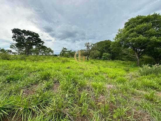 Terreno de 2.000 m² Condomínio Vila Arcádia - Lagoa Santa, à venda por R$ 1.523.000 foto 5