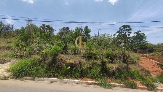 Terreno de 760 m² Lundceia - Lagoa Santa, à venda por R$ 350.000 foto 3