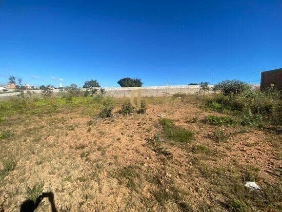Terreno de 360 m² Condomínio Parque dos Buritis - Lagoa Santa, à venda por R$ 250.000 foto 4
