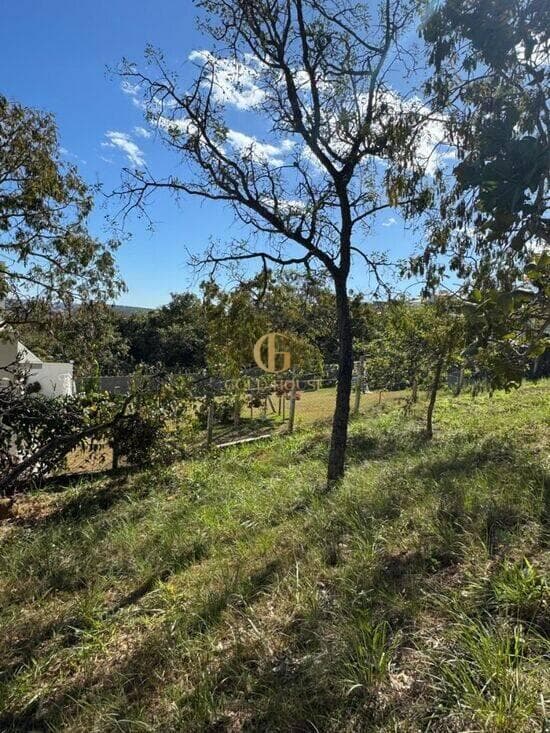Terreno de 1.390 m² Condomínio Jardins da Lagoa - Lagoa Santa, à venda por R$ 680.000 foto 4
