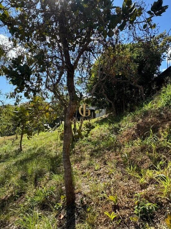 Terreno de 1.390 m² Condomínio Jardins da Lagoa - Lagoa Santa, à venda por R$ 680.000 foto 5