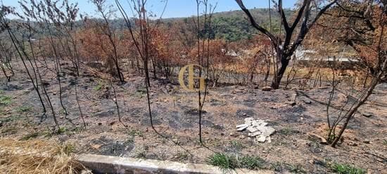 Terreno de 671 m² Villa Paradiso - Lagoa Santa, à venda por R$ 270.000 foto 4