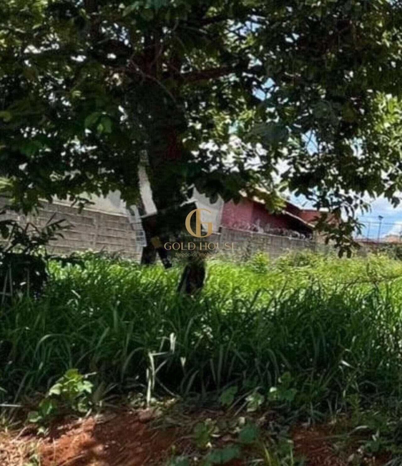 Terreno de 405 m² Joá - Lagoa Santa, à venda por R$ 390.000 foto 5