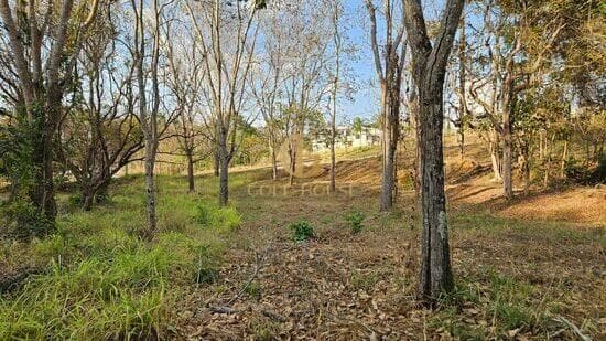 Terreno de 1.000 m² Condomínio Versailles Ville de France - Lagoa Santa, à venda por R$ 242.000 foto 4