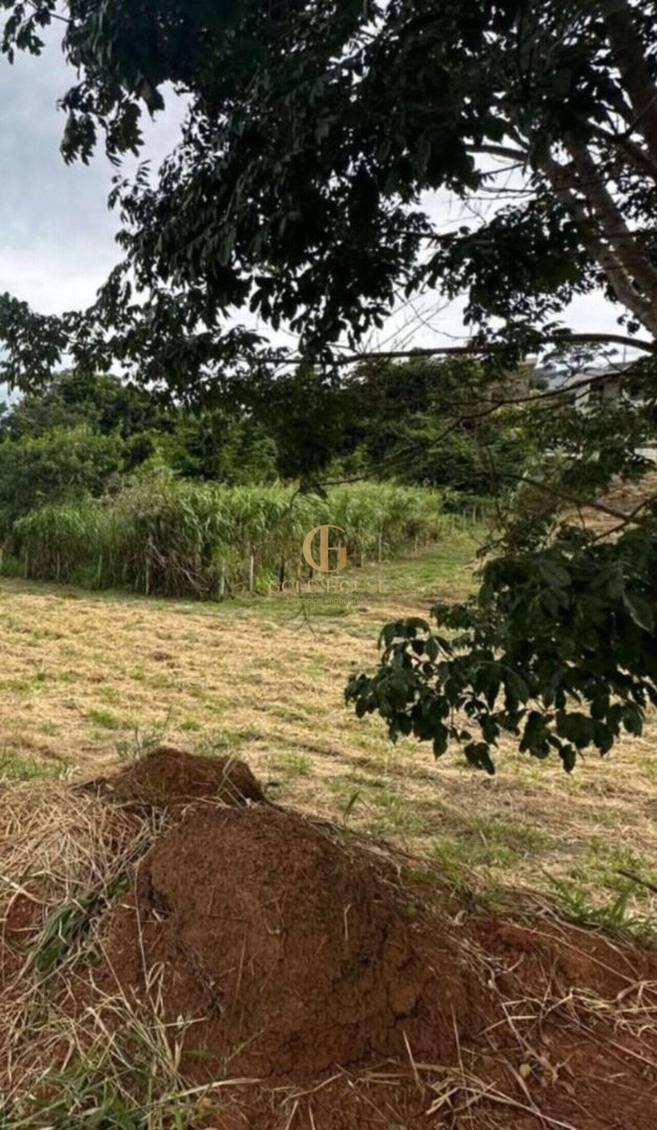 Terreno de 1.079 m² Condomínio Gran Royalle Lagoa Santa - Lagoa Santa, à venda por R$ 490.000 foto 7