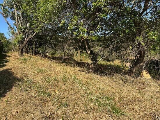 Terreno de 1.251 m² Condomínio Canto do Riacho - Lagoa Santa, à venda por R$ 260.000 foto 3