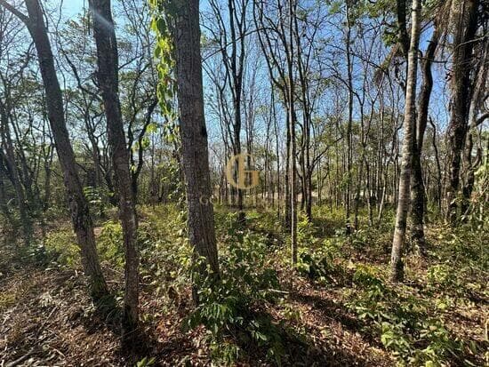 Terreno de 1.128 m² Condomínio Canto do Riacho - Lagoa Santa, à venda por R$ 275.000 foto 1
